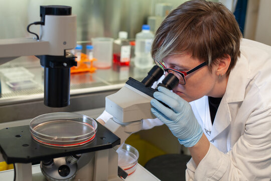 woman scientist looking at the microscope in a lab, research