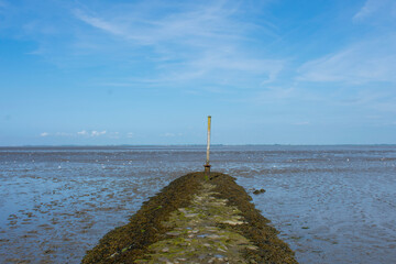 K&uuml;stenschutz in der Nordsee bei Ebbe mit Algen, M&ouml;ven und blauem Himmel