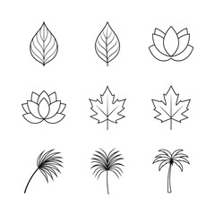 Set of plant and leaf line icons Batch_7
