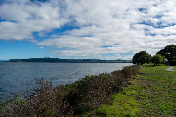 Serene Lakeside View with Lush Greenery