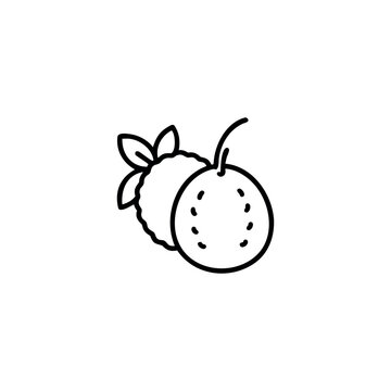 A mabolo fruits icon line art vector illustration.