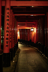 An illuminated path winds through a tunnel of traditional red-orange Japanese Torii gates at night....