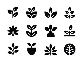 Plant and leaf icons sprout seedling