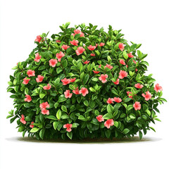 Naklejka premium Lush green bush with abundant pink flowers on white background plant leaves