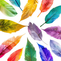 Colorful leaves swirl, autumn design, vibrant, nature, background, graphic design