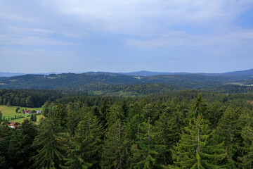 Mountain and tree panorama view  seen from observation tower Baumei at Treetop Walk in Bavarian Forest National Park, Germany