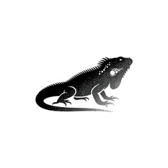 Fototapeta premium Stylized black and white illustration of an iguana