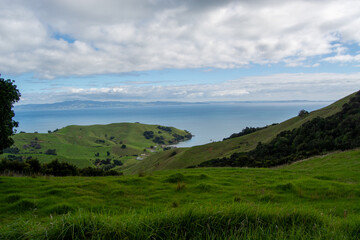 Fototapeta premium Scenic Coastal Hills and Bay View