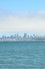 Fototapeta premium san francisco skyline