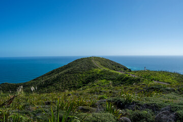 Scenic Hill Overlooking the Ocean