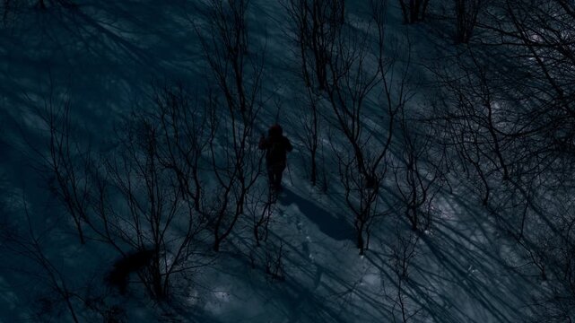 Aerial view tracking man moving in dark snowy woods. Winter survival and missing person theme