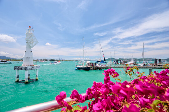 Scenic View of a Harbor with Flowers and Sailboats Under Blue Sky - Powered by Adobe
