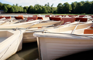 Rowboats are docked on calm water in a beautiful park setting with lush greenery. Scene evokes...