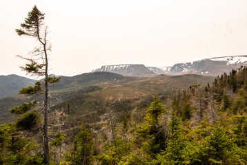 Tabletop Gros Morne, Newfoundland