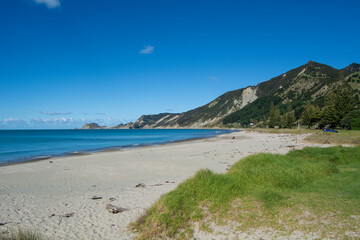 Serene Beach with Turquoise Waters and Lush Hills