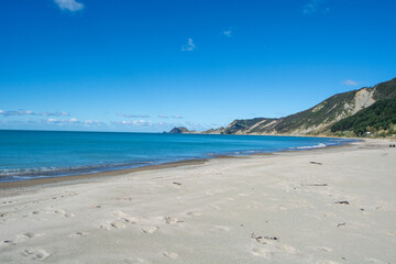 Obraz premium Serene Beach with Clear Blue Sky and Gentle Waves