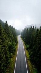 Winding road through misty forest