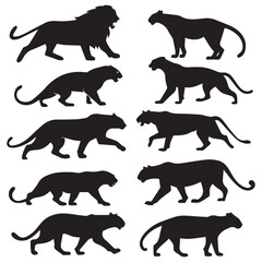 Collection of black silhouettes of majestic lions and powerful panthers in various dynamic poses against a white background