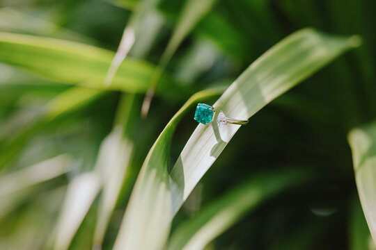 Emerald and Diamond Ring on Tropical Leaf