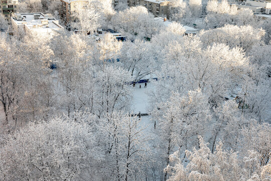 Authentic snowy winter city neighborhood view