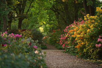 Naklejka premium A lush garden path lined with vibrant flowers in various colors under a canopy of trees. Concept of serene nature pathway.