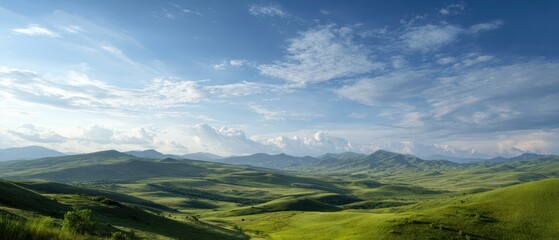 The vast green landscape under a bright blue sky showcasing natural beauty.