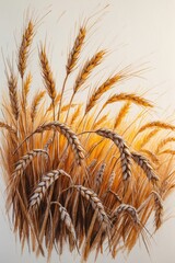 Wheat Stalks on White: Hand-drawn Golden Grain Illustration for Agriculture Concepts.
