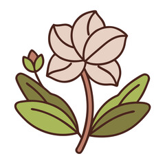 Illustration of a blooming wildflower with green leaves  