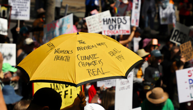 Signs from HANDS OFF protest
