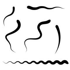 Worms and snakes, spermatozoa, whatever you call them. And just wavy lines. Flat vector illustration isolated on white background.