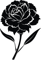 Minimalist carnation silhouette in black and white