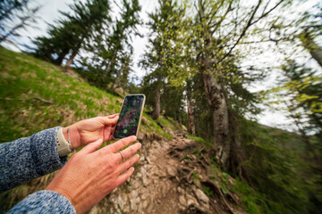 Forest landscape while hands hold a mobile cell phone of doing pictures from nature