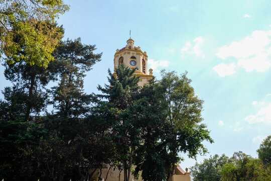 Golden Clock Tower Behind Trees