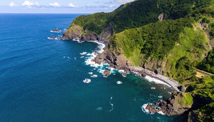 Fototapeta premium An aerial view of a rocky, green coastline meeting a blue ocean with white waves.