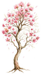 Fototapeta premium Watercolor painting of a delicate pink flowering tree, gentle breeze, springtime mood, isolated on white background.