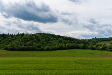 Field, forest, hills, clouds