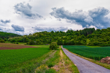 Road between fields to the hilly forest