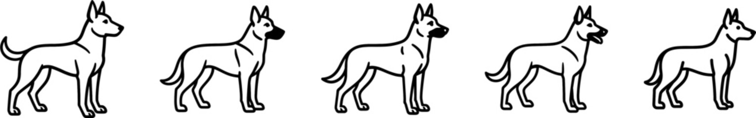 Fototapeta premium Belgian malinois dog full body standing side view outline vector