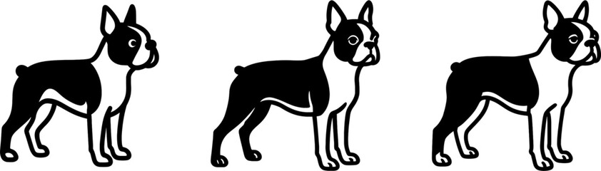 Boston terrier dog standing side view outline vector