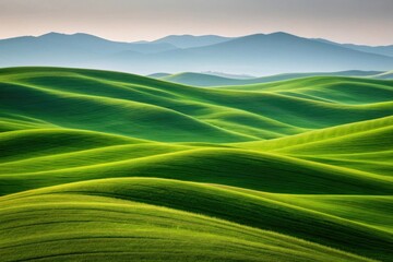 Rolling green hills under a soft sky with distant mountains