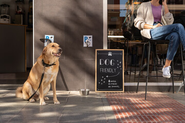 Calm dog sitting near its owner at sidewalk cafe
