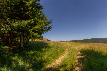 Country dirt road through sunny meadow in Tara National Park, with shady spruce trees, haystack, and forested foothills under blue summer sky.


