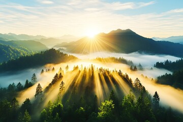 Sunrise over a misty mountain range with forests.
