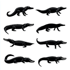 Naklejka premium alligator silhouette set, Black & White silhouette set 