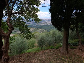 mountain landscape with trees in tuscany, italy