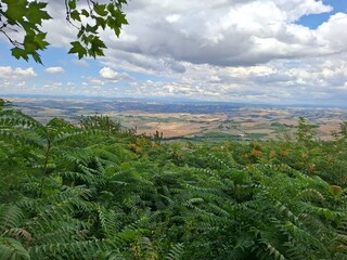 mountain landscape with trees in tuscany, italy