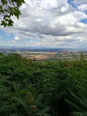 mountain landscape with trees in tuscany, italy