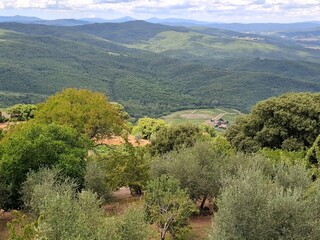 mountain landscape with trees in tuscany, italy