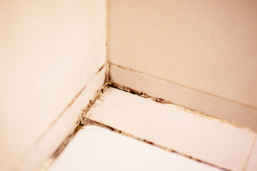 Mold Infestation in Bathroom Corner
