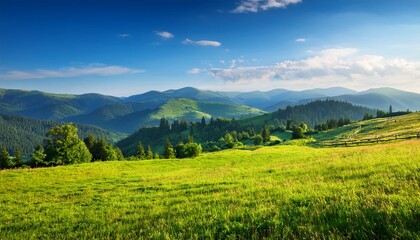 Fototapeta premium vibrant rural landscape portraying lush green meadows distant mountains under a bright clear sky offering tranquility and natural beauty carpathian mountains ukraine
